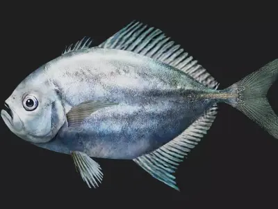 Trevally Low-poly 3D model shop