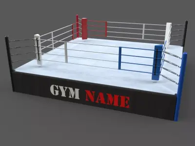 PBR Modular Professional Boxing Rings 18ftx18ft Low-poly 3D model