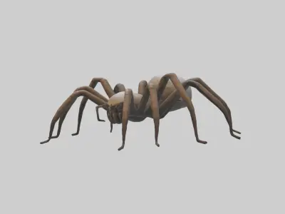 Giantspider Model Low-poly 3D model