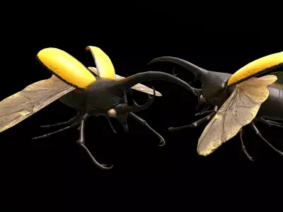 Hercules Beetle Low-poly 3D model