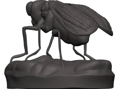 Fly-Fly fly 3D model