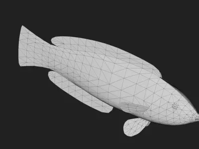 Wrasse Low-poly 3D model 3