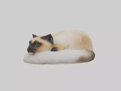 Himalayan Cat resting model Low-poly 3D model