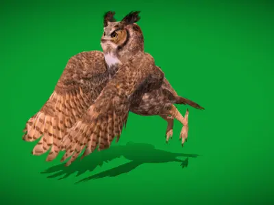 Great Horned Owl Low-poly 3D model purchase