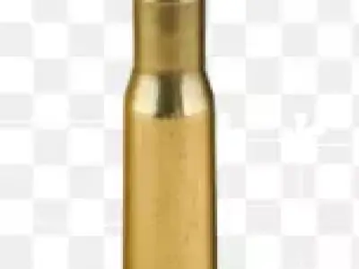 bullet 3D model order