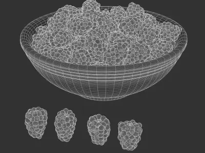  Black Raspberries Fruit Bowl Food Model  purchase