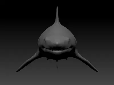 White shark base model Low-poly 3D model