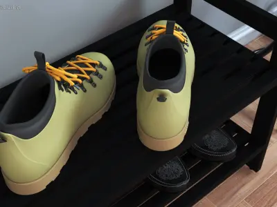 Native Boots 3D model