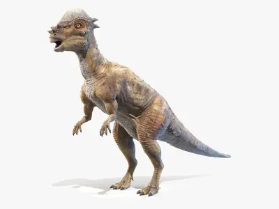 Pachycephalosaurus 3D model