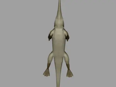 Remingtonocetus 3D model
