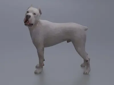 Pitbull Low-poly 3D model