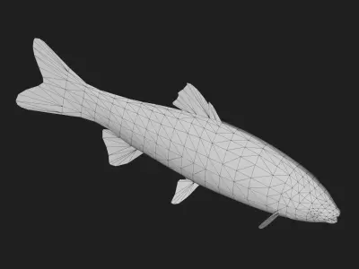 GrassCarp Low-poly 3D model