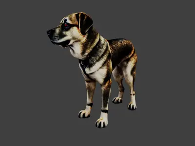 Dog Animal Low-poly 3D model
