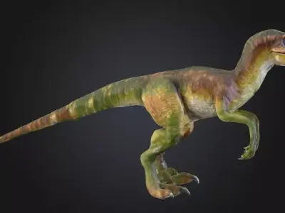 Realistic Velociraptor 3D Model Low-poly 3D model