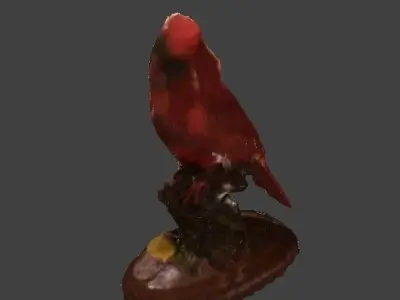 Bird topology  3D model