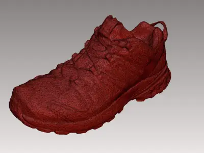 Salomon XA PRO 3D V8 shoe 3D model