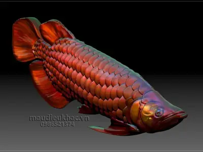 Dragon Fish Free 3D print model