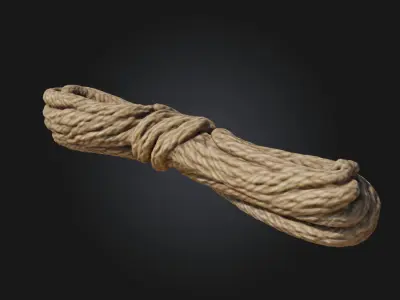 Tangled Coil  Realistic Detail of Disordered Wiring 3D model