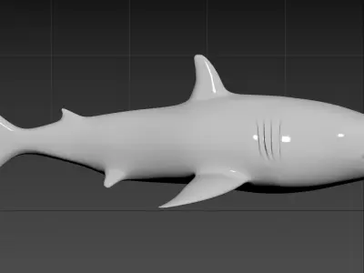 requin shark 3D model