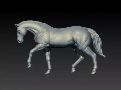 Horse 3D model 9