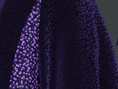 the blue velvet gown with sequance febric Texture