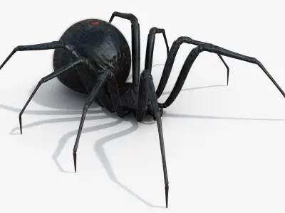 Black Widow Rigged Animated 8K PBR Textures 3D model
