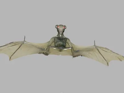 Bat low poly flying in air Low-poly 3D model