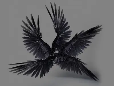  Bird Wings Rigged 