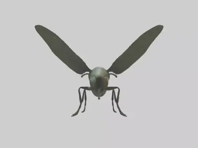 Firefly Model Low-poly 3D model