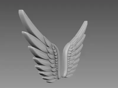 Wings relief 3D model buy
