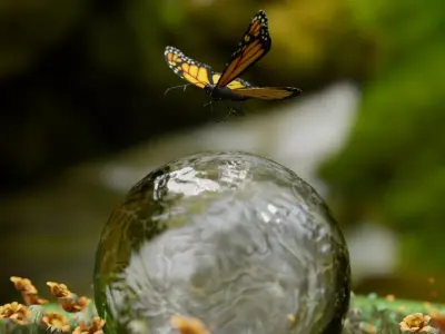 Butterfly sitting on water bubble 3d view Low-poly 3D model