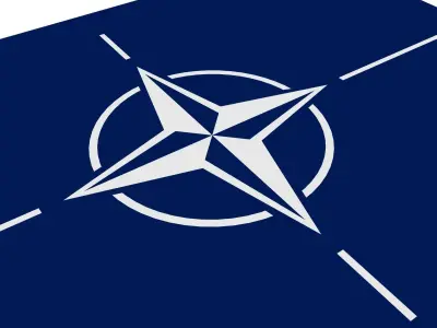 Nato Flag 3D Model Low-poly 3D model