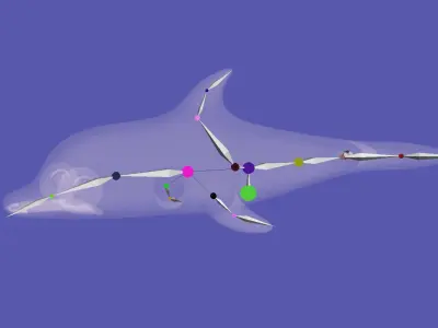 Stylized Toon Dolphin rigged Low-poly 3D model