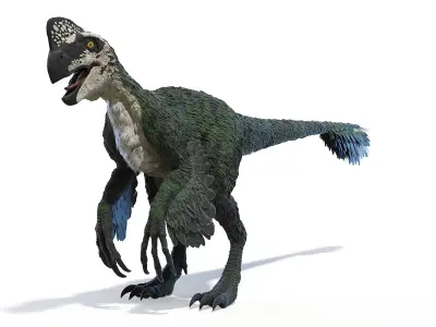 Oviraptor Static 3D model