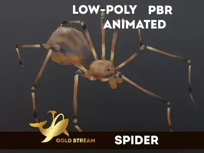 Spider Low-poly 3D model 5