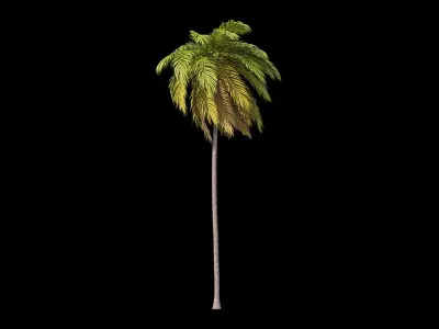 Palms Set 021-030 3D model