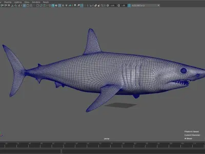 Shark  Mako model with materials 3D model