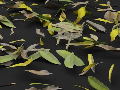 Dead Leaves  3D model