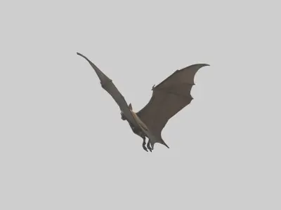 Fishing Bat flying model Low-poly 3D model