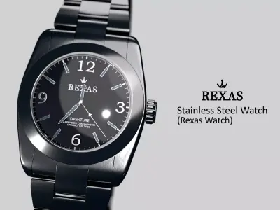 Stainless Steel Watch - Rexas Watch Rigged 3D model