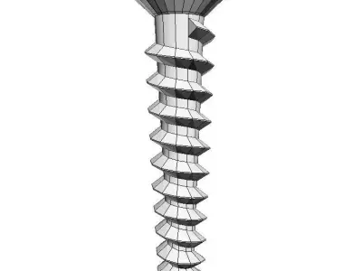 Screw 3D model order