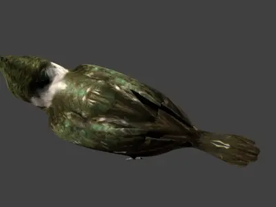 lowpoly bird kingfisher Low-poly 3D model