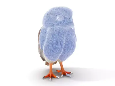 Spotted Owl model pack Low-poly 3D model
