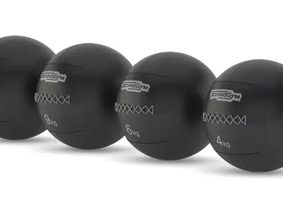 Technogym Accessories Medicine Ball 3D model