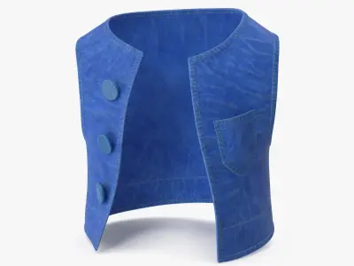 Cartoon Vest Blue 3D model