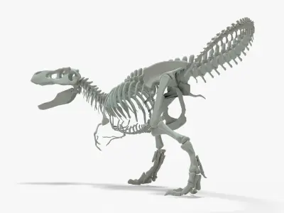 Tyrannosaurus Rex Rigged Skeleton Low-poly 3D model