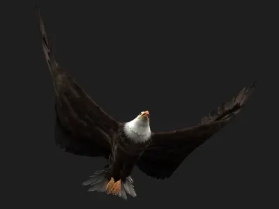 Eagle-B2 3D model