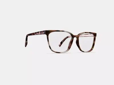 Esme Eyeglasses in Sesame Tortoise Low-poly 3D model