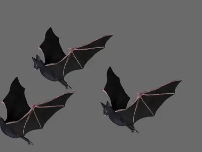Bat with wings 2 Low-poly 3D model