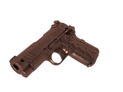 Nighthawk Custom Treasurer 3D print model